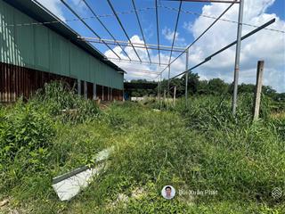 Ngộp bán nhanh 270m2 (5x54) thổ cư 100m2 liền kề kcn, trường, chợ, sổ sẵn công chứng ngay