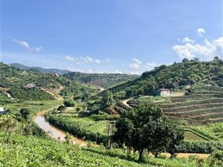 Hàng hiếm tại mê linh, lâm hà, lâm đồng 179m2 full thổ cư, có suối, view rừng thông giá 800 tr