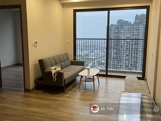 Chính chủ cho thuê chcc 58m2 tầng 35 tòa h1 haven park, ecopark hưng yên. nhà mới, nội thất đầy đủ.