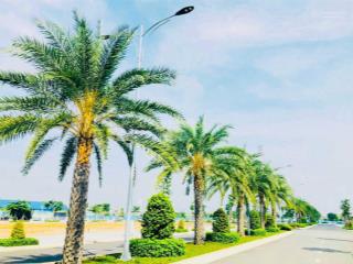 Đất nền liền kề sg ưu đãi suất nội bộ, giá chủ đầu tư, dt 5x20 đường 30m, view tttm, sổ hồng riêng.