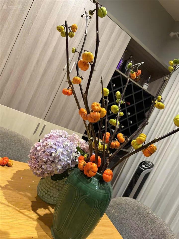 Cần bán biệt thự khu vip biệt thự phường tây thạnh, dt 7mx18m, xd 2 lầu, sân thượng, nhà ở liền