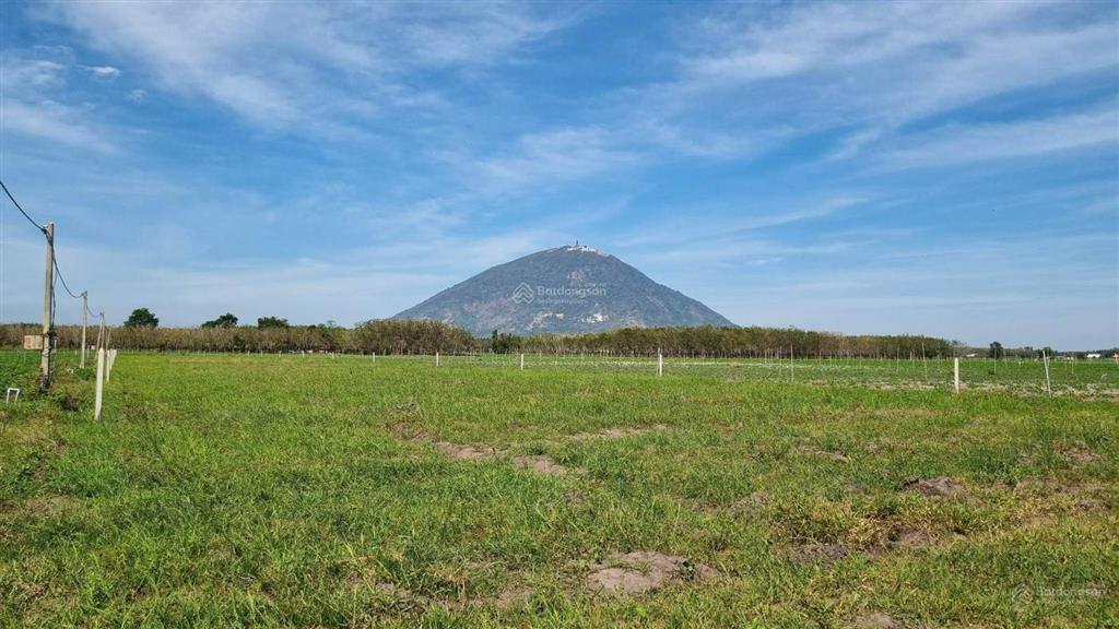 Cần bán đất rẫy trồng cây ở xã phan, tây ninh, cách núi bà 8km. dt 5000m2, giá 1,2tỷ hết đất