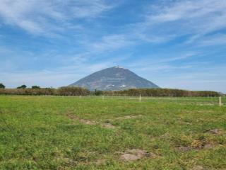 Cần bán đất rẫy trồng cây ở xã phan, tây ninh, cách núi bà 8km. dt 5000m2, giá 1,2tỷ hết đất
