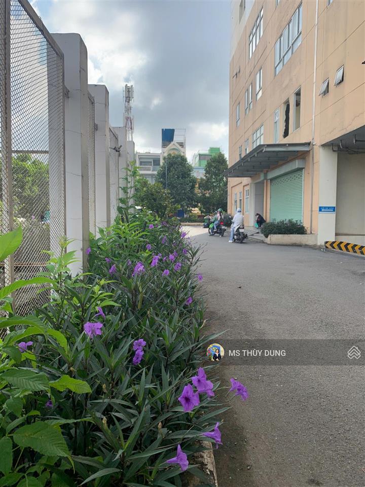 Chính chủ đang ở cần bán căn 60m2 giá 1.250 tỷ tầng 10