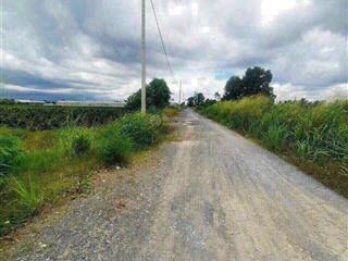 Cần bán 9.130m² đất vườn kênh 6 xã bình lợi, bình chánh, tp. hcm giá chỉ 3 triệu/m2