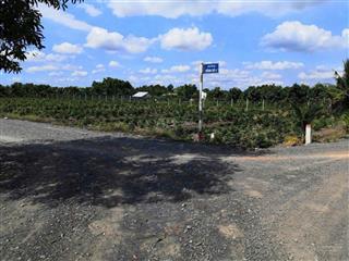 Bán đất vườn kênh 4, bình lợi, bình chánh 20.178 m², ngang 32,5 m. giá 2 triệu/m2