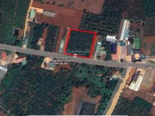 Chính chủ bán 6 nền f0 mặt tiền đường lớn gần ngã ba bát xưa, xã nam ban, chỉ 300 tr/m ngang