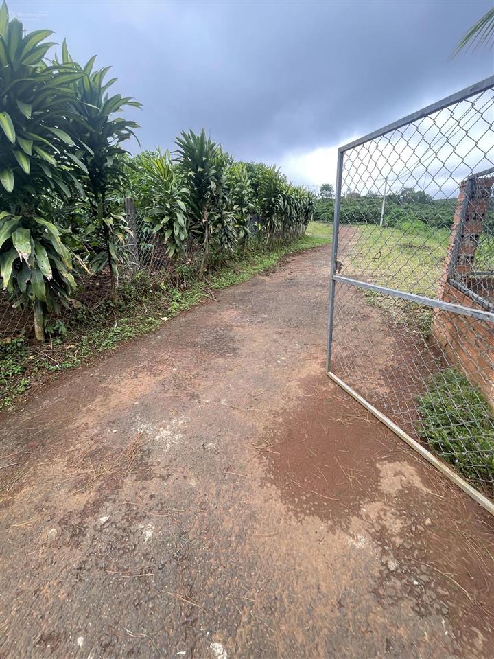 Bán gấp căn biệt thự sân vườn siêu đẹp 750m2, giá rẻ chỉ 2,1 tỷ