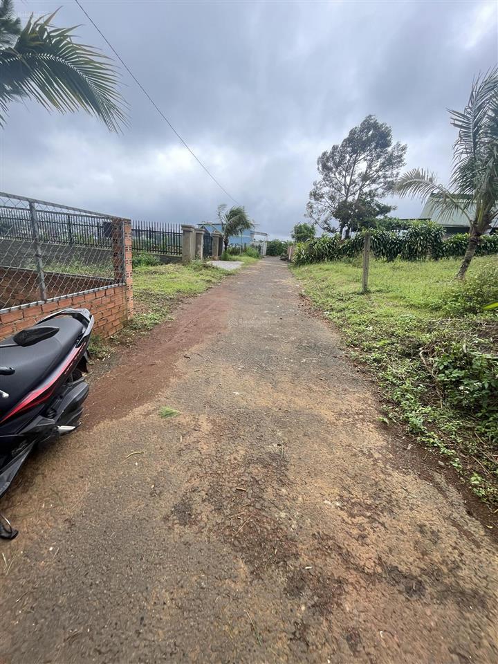 Bán gấp căn biệt thự sân vườn siêu đẹp 750m2, giá rẻ chỉ 2,1 tỷ