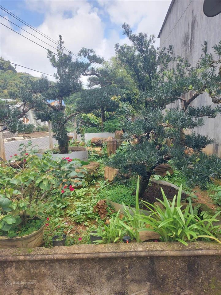 Bán gấp căn nhà mặt tiền phan huy ích, p3, tp bảo lộc có 65m2 mặt tiền, giá 6,9 tỷ