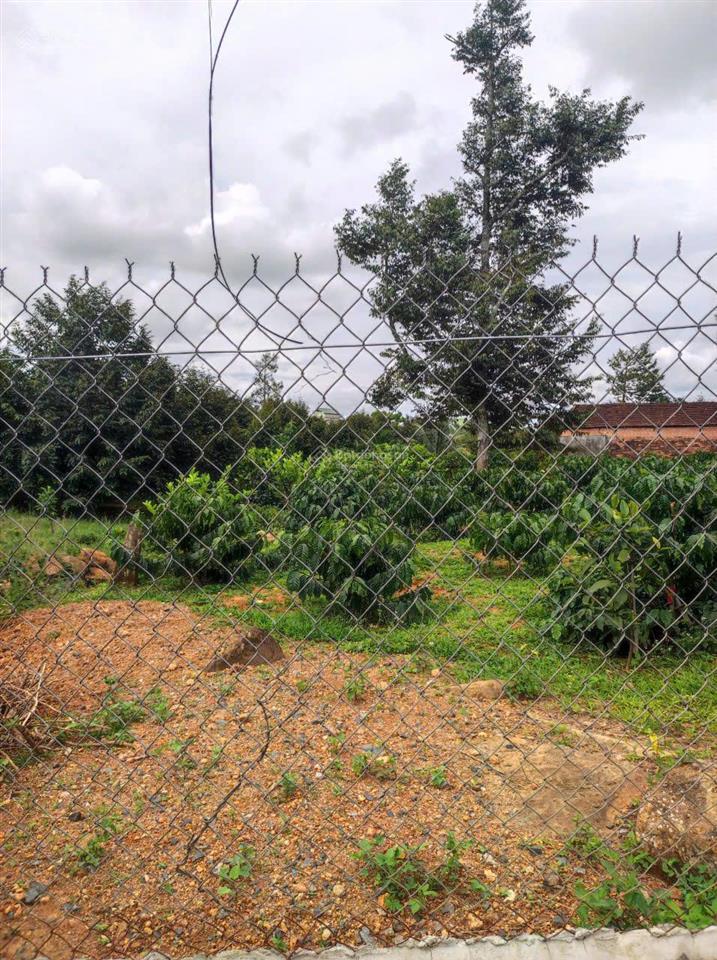 Bán gấp căn nhà mặt tiền phan huy ích, p3, tp bảo lộc có 65m2 mặt tiền, giá 6,9 tỷ