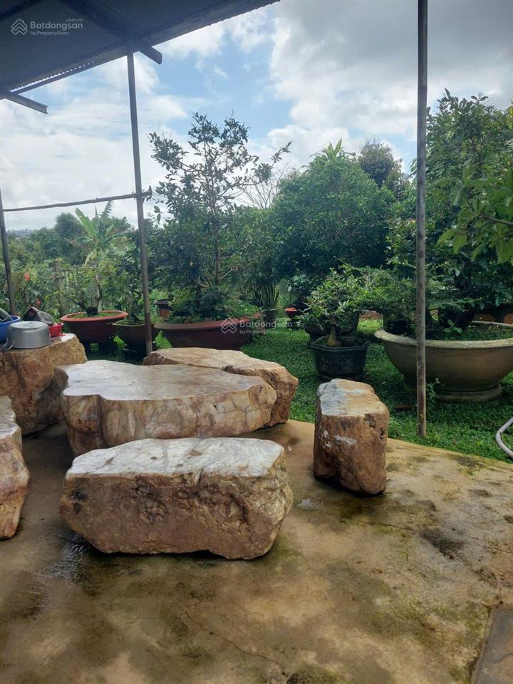 Bán gấp căn nhà mặt tiền phan huy ích, p3, tp bảo lộc có 65m2 mặt tiền, giá 6,9 tỷ