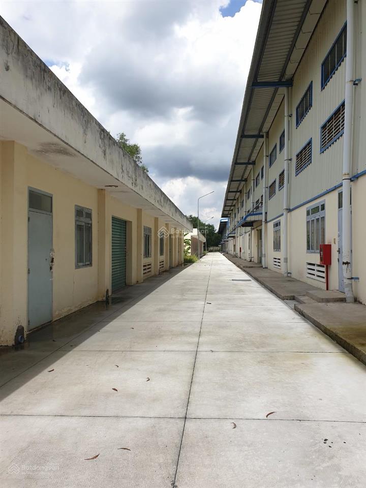 Cho thuê kho xưởng ql 1a, 1300m2 giá 65k/1m2 có pccc.  0919 228 ***