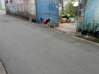 Chính chủ bán đất lớn thổ cư hương lộ 2 bình tân, phù hợp xây xưởng, đầu tư, trung tâm sầm uất