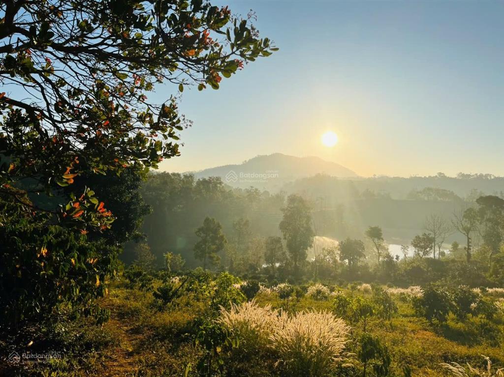 Bán lô đất 11.000 m2, dak song  lâm đồng