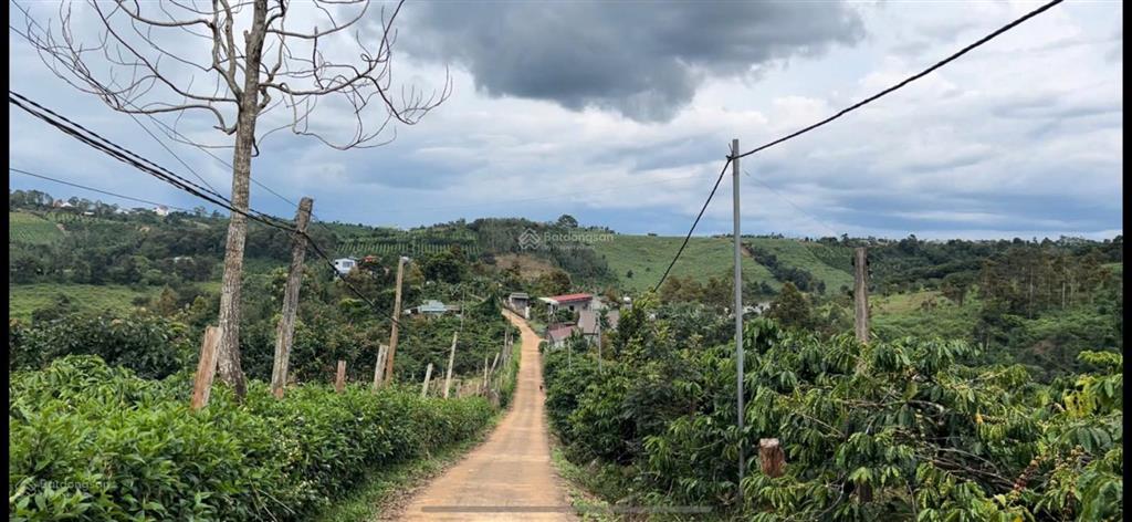 Bán lô đất 11.000 m2, dak song  lâm đồng