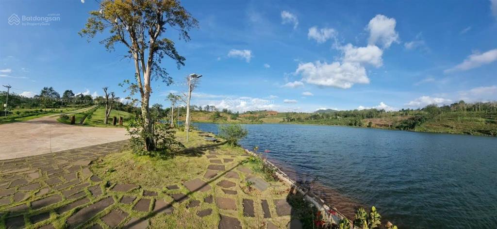 Bán lô đất 11.000 m2, dak song  lâm đồng