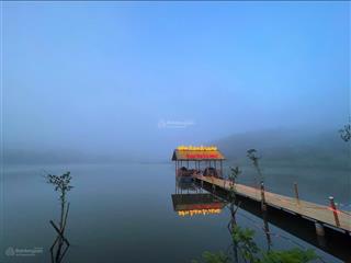 Bán lô đất 11.000 m2, dak song  lâm đồng