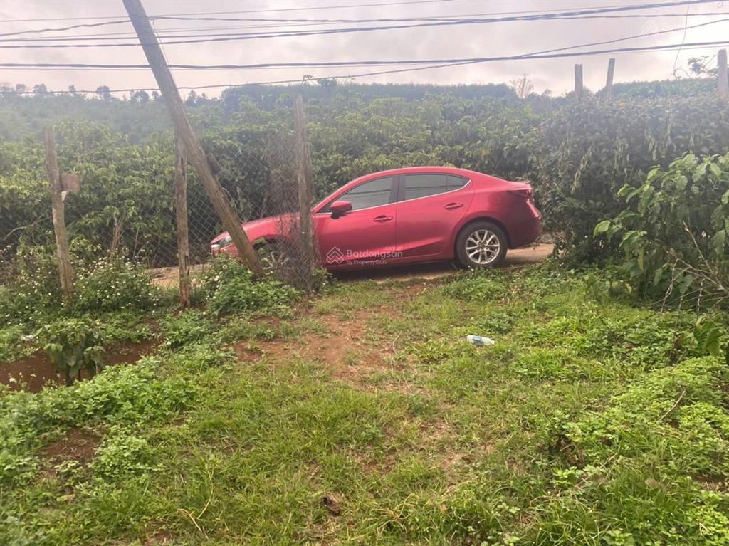 Bán lô đất 11.000 m2, dak song  lâm đồng