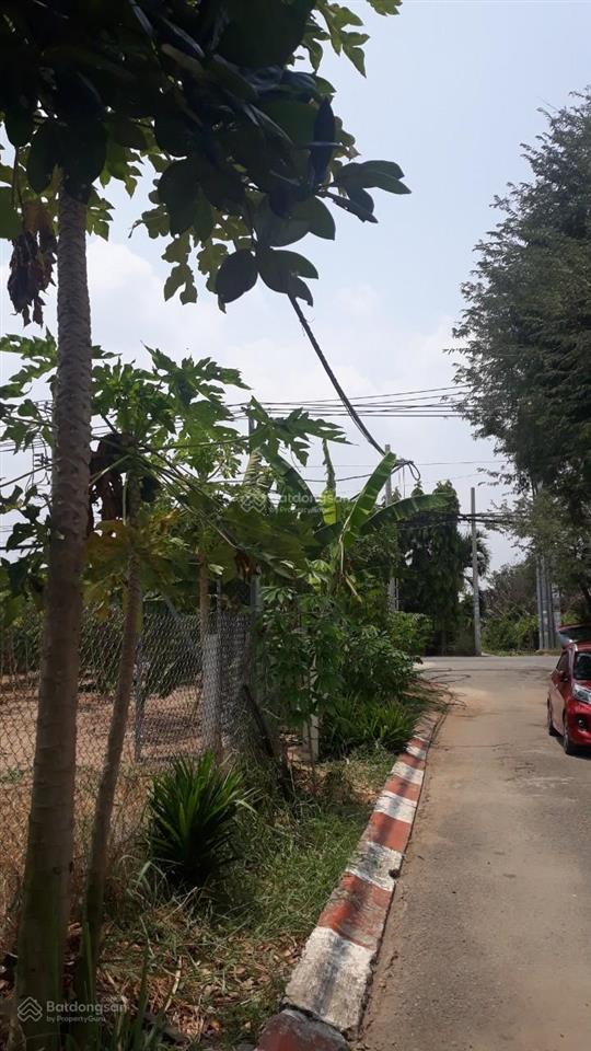 Chính chủ bán lô đất góc 2 mặt tiền đường phạm thị tánh (đường ấp 6 hưng long cũ), giá 9,5 tỷ