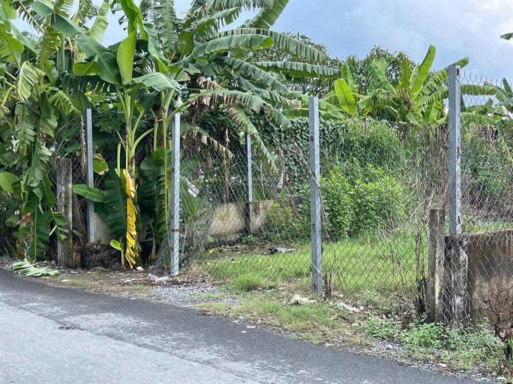 Đất mặt tiền đường nhựa tân liễu dt 375m2, vị trí đẹp, nở hậu