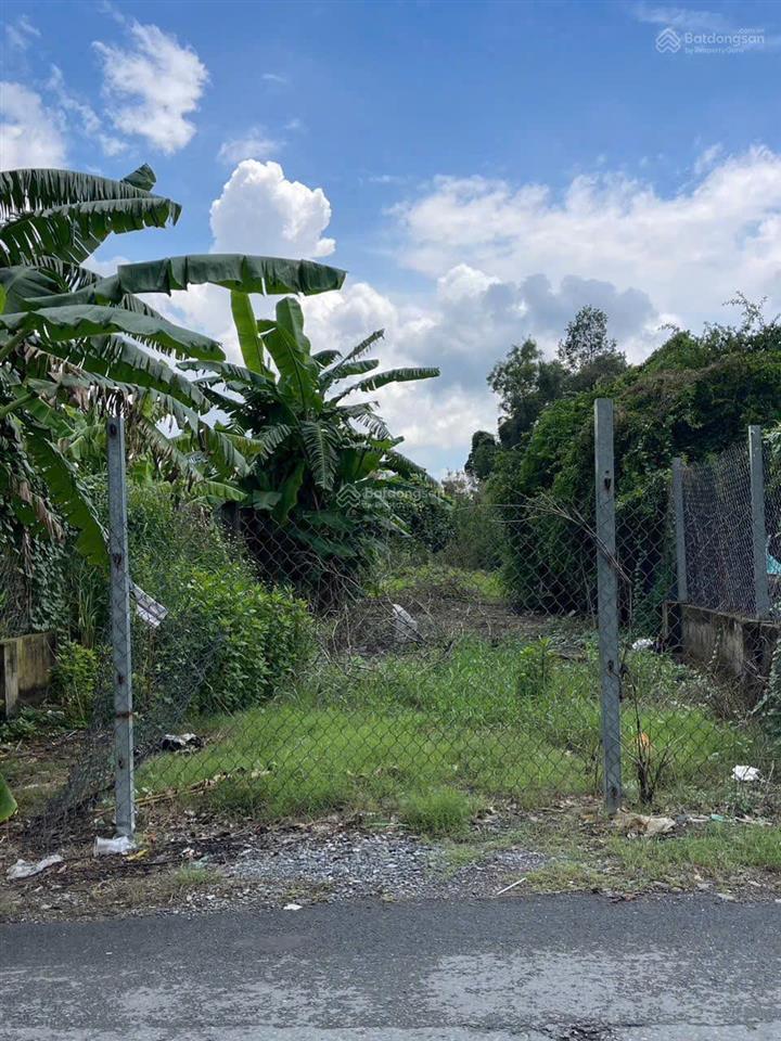 Đất mặt tiền đường nhựa tân liễu dt 375m2, vị trí đẹp, nở hậu