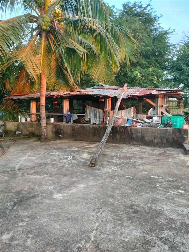 Cần bán lô đất 4,6 hecta xã hàm liêm, hàm thuận bắc bình thuận dt (150m dài 213m) 4,6 hecta