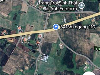 Đất 3 mặt tiền, t lộ 8 dt 8.400m2, mt thực tế 110m2, hiện trồng cây lâu năm đã chuyển lên thổ