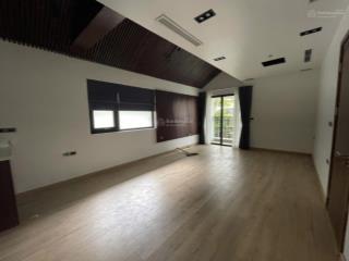 Bán biệt thự song lập vườn tùng vườn mai ecopark, full nội thất, giá chỉ 2x tỷ
