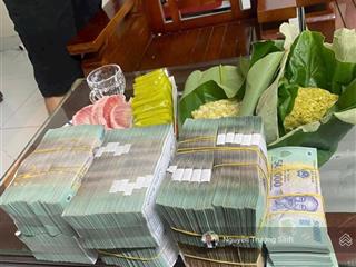 Bán đất tại x2 thái bình, mai lâm, đông anh, hà nội. diện tích 80m2 nhỉnh 11 tỷ