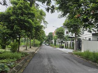 Bán lô đất bt check vườn hoa giá rẻ tại kđt đại hoàng long, võ cường, tp. bn. dt 270m2