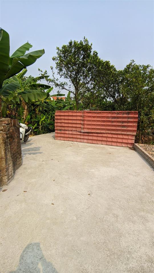 72m2 giao tất a  kim sơn  gia lâm. mặt tiền 5m, cách đường lớn 10m, thuận tiện đi lại