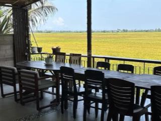 Cần bán 1700m đất view lúa sau lưng nhà hàng the cánh đồng giá chỉ 22tr/m2  0936 325 ***