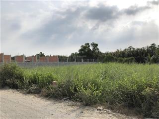 Chính chủ gửi bán 1000m2 ngang 20m, có 300m2 thổ cư, đường ngô quang thắm. giá 15,2 tỷ