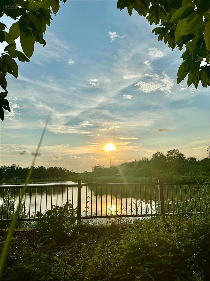 Chuyên giỏ hàng cắt lỗ, the star 5x15m, 5x25m, 10x20m đường 12m giá từ 28tr/m2