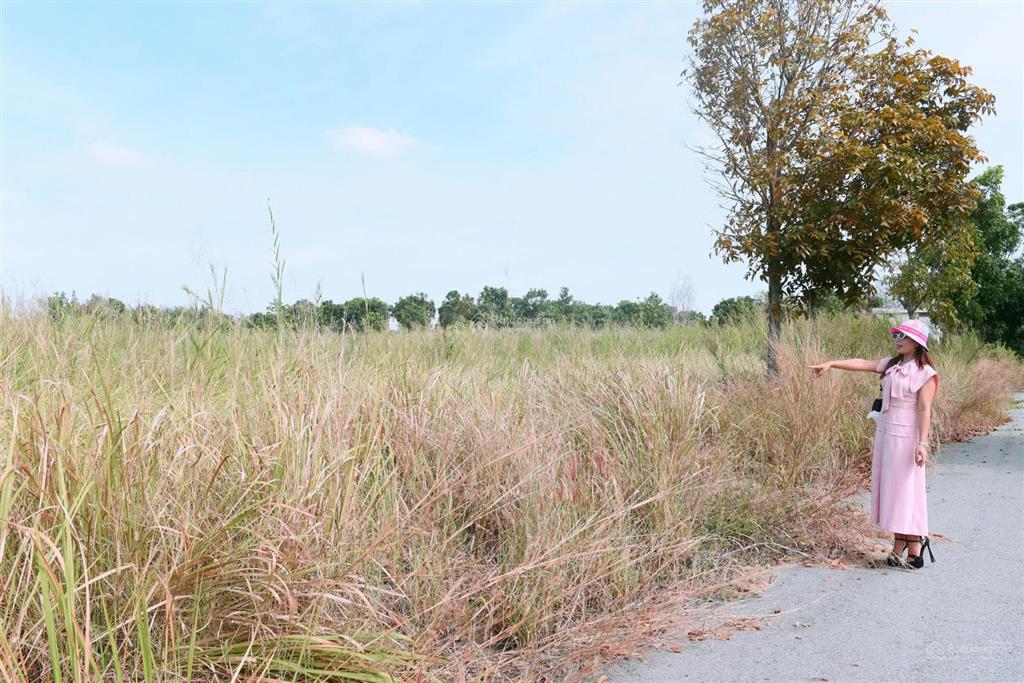 Chuyên giỏ hàng cắt lỗ, the star 5x15m, 5x25m, 10x20m đường 12m giá từ 28tr/m2