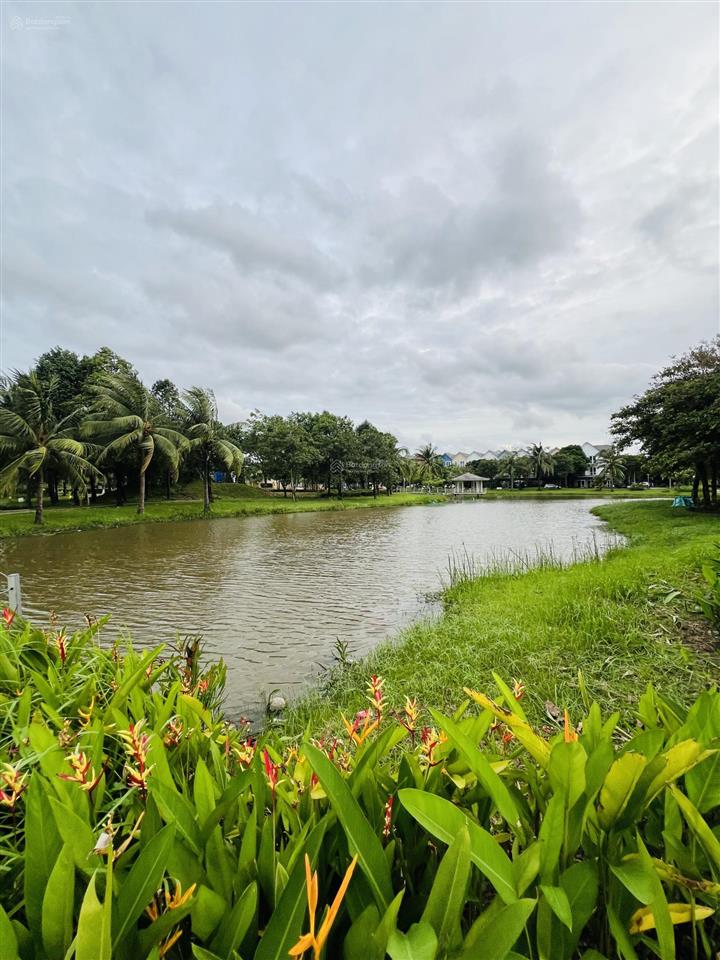 Cho thuê park riverside 15tr/th full nt,  sam