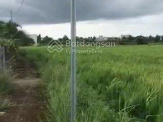 Giảm giá bán 2000m2 đất nông nghiệp tại tt cần giuộc  long an, sổ hồng riêng, 2,6tỷ