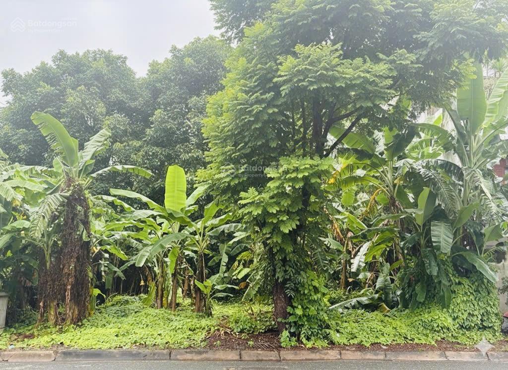 Bán đất vị trí đep view công viên kdc văn minh, phường an phú.tp thủ đức.