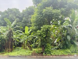 Bán đất vị trí đep view công viên kdc văn minh, phường an phú.tp thủ đức.