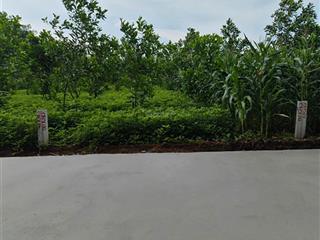 202m2 đất thổ cư, sổ riêng, xuân trường 720 triệu  0902 803 ***