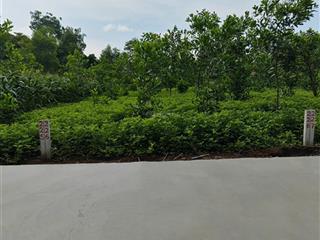 Cần bán lô đất hẻm ô tô đường trương công định, xuân trường, xuân lộc 690 triệu, có thương lượng