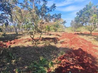 Em cần bán lô đất 2 mặt tiền đường bê tông rộng xe tải chạy thoải mái tại xã xuân tâm