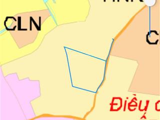 Cần bán 1.7 mẫu đất tại xã hòa thạnh, 1 đời chính chủ chưa qua đầu tư, giá ngộp