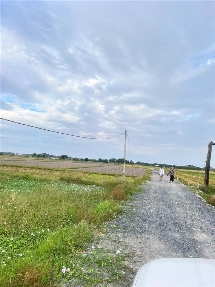 Bán đất đt 786, tiên thuận, bến cầu, tây ninh, giá tốt, 250m2