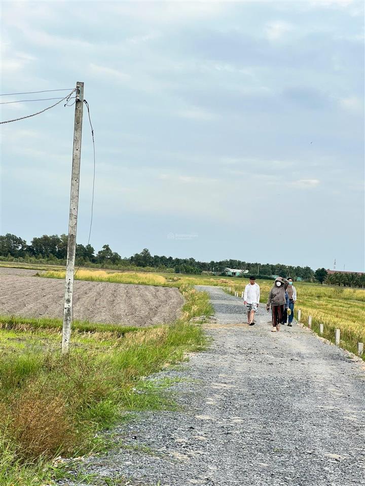 Bán đất đt 786, tiên thuận, bến cầu, tây ninh, giá tốt, 250m2