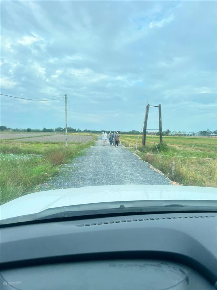 Bán đất đt 786, tiên thuận, bến cầu, tây ninh, giá tốt, 250m2