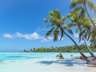 Bán biệt thự mới đẹp vị trí đắc địa cách mặt biển chỉ 30m giá hấp dẫn 25 tỷ cực kỳ khan hiếm