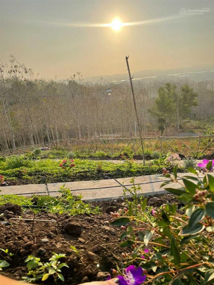 Bán 2600m2 đất vườn view hồ trị an, núi gia lào. đường 6m, cách ql20 chỉ 800m. giá 650tr/1000m2