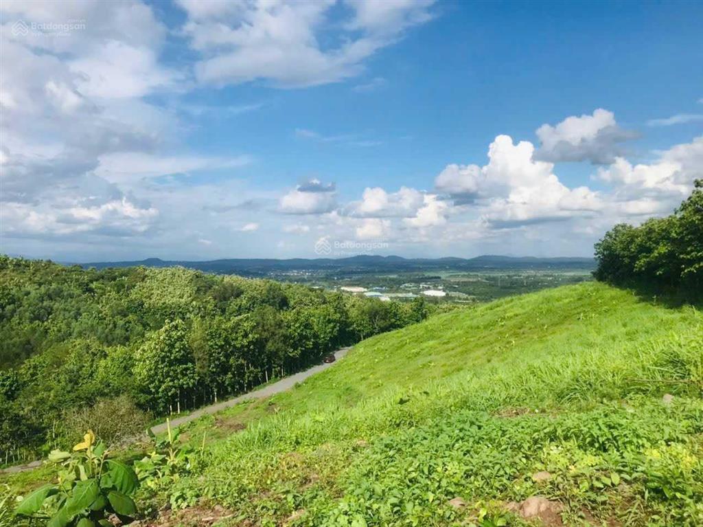 Bán 2600m2 đất vườn view hồ trị an, núi gia lào. đường 6m, cách ql20 chỉ 800m. giá 650tr/1000m2
